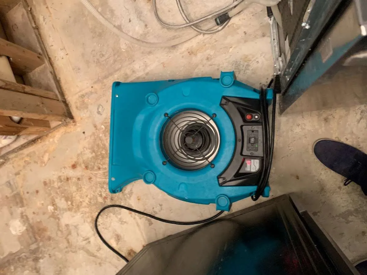 Air mover drying equipment for Mold Remediation & Removal in Cold Spring