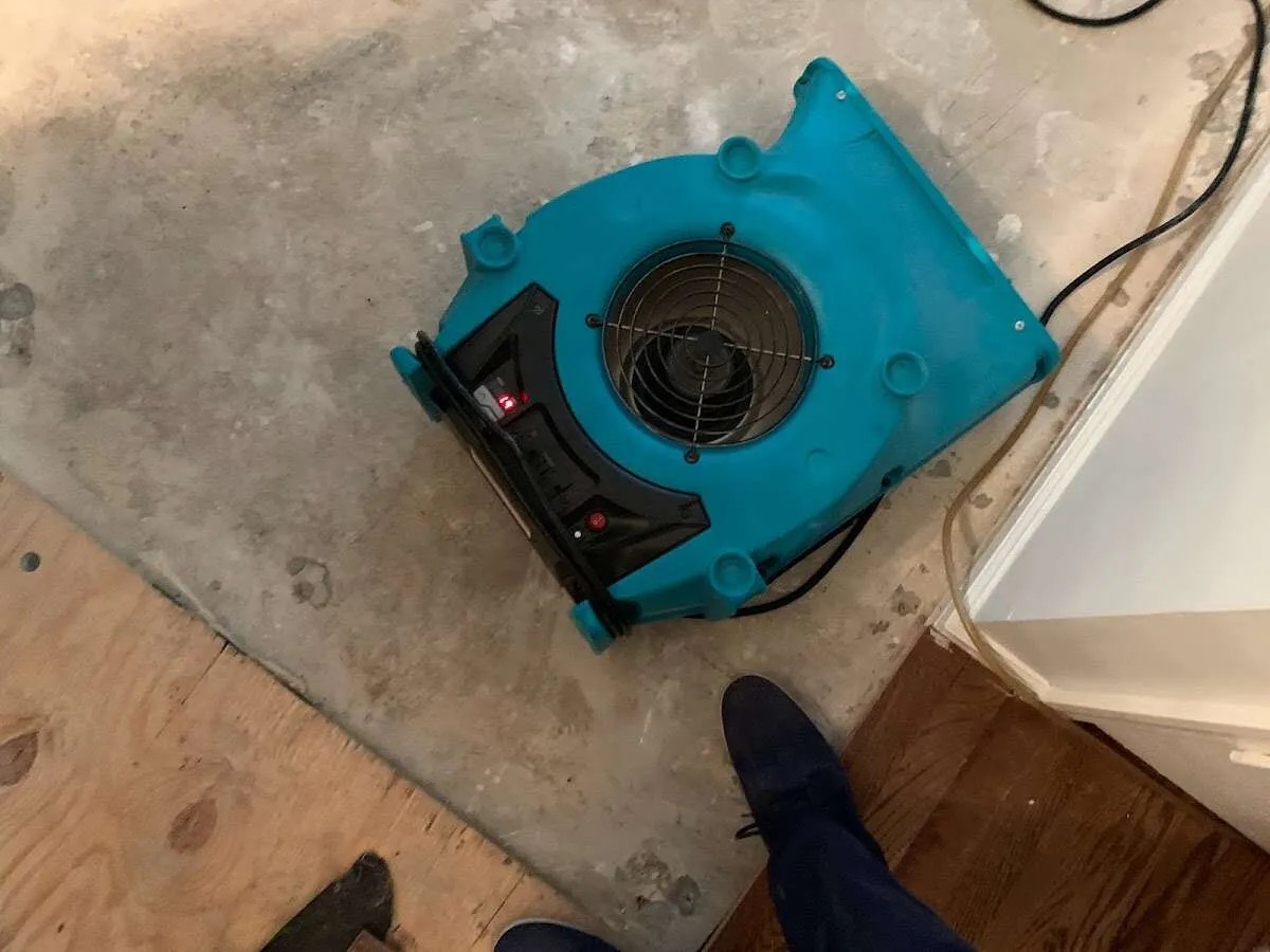 Air mover drying subfloor during Leak Detection & Repair in Cold Spring